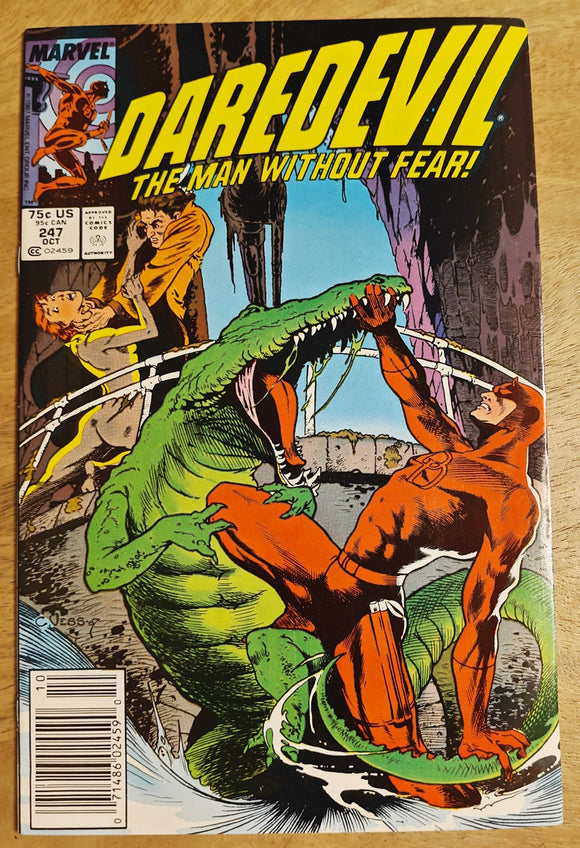 Daredevil 247 (Marvel, 1987) - Mycomicshop.be