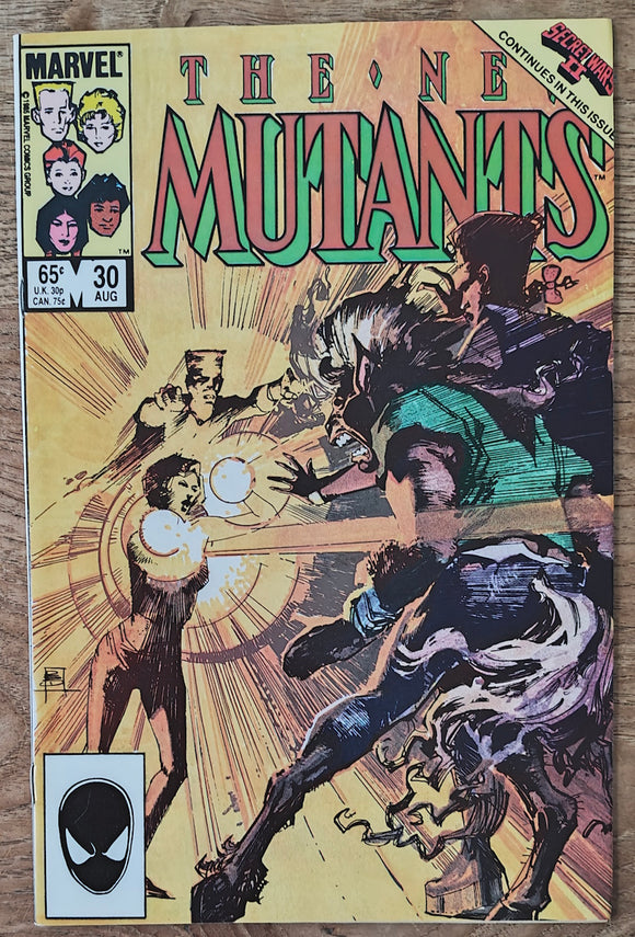 New Mutants (1983 1st Series) #30