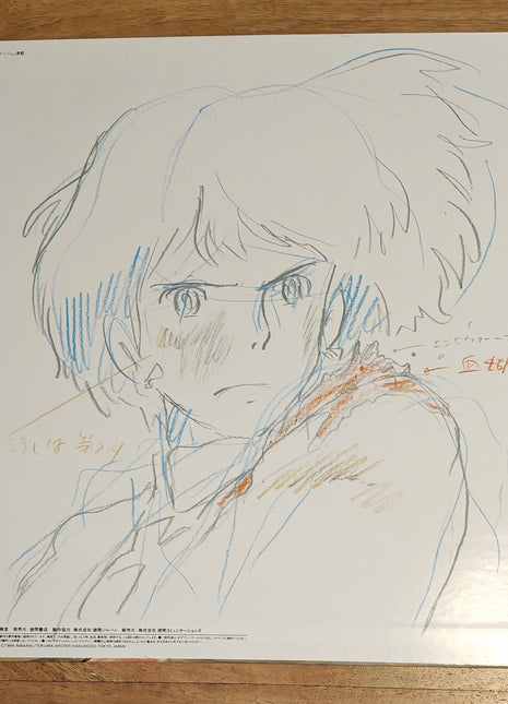 Nausicaa of the Valley of Wind (Ghibli, 1984) [98LXA-1] LaserDisc - Mycomicshop.be