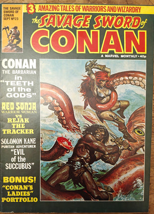 Savage Sword of Conan (UK 1977 Marvel 2nd Series) #23