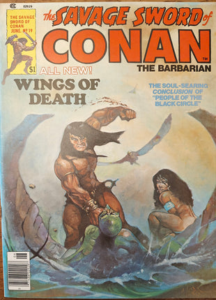 Savage Sword of Conan (1974 Marvel) #19