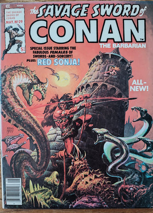 Savage Sword of Conan (1974 Marvel) #29