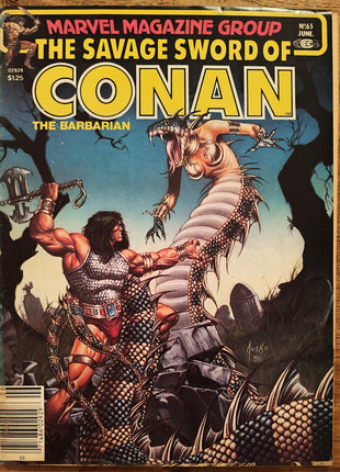 Savage Sword of Conan (1974 Marvel) #65