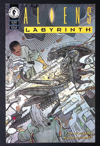 Aliens Labyrinth (1993) #2 - Mycomicshop.be
