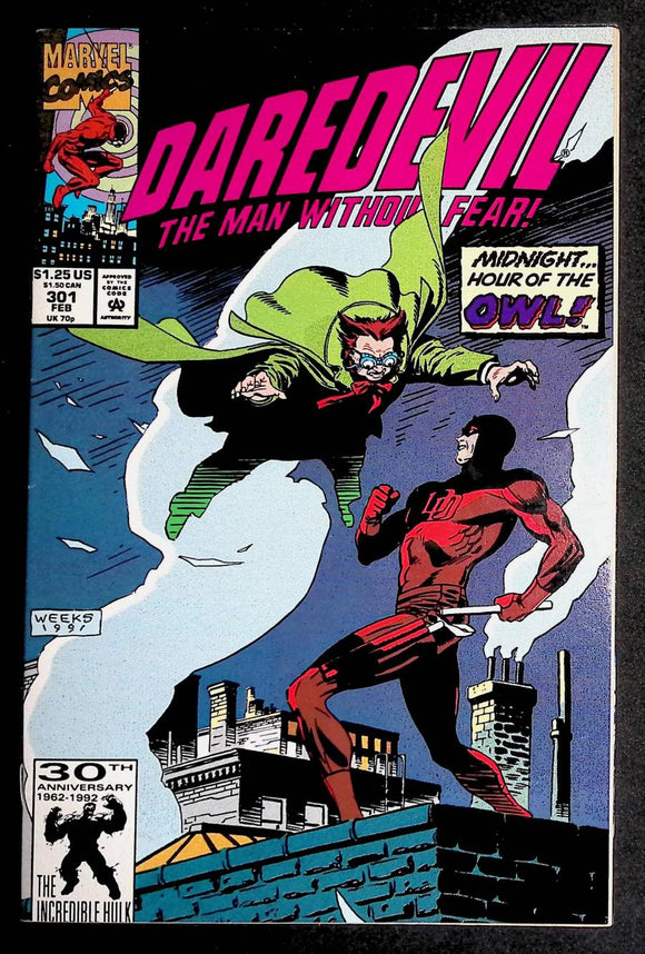 Daredevil (1964 1st Series) #301