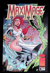 Maximage (1995) #6