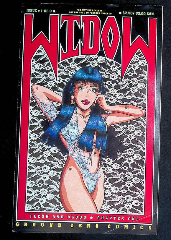 Widow Flesh and Blood (1992) #1