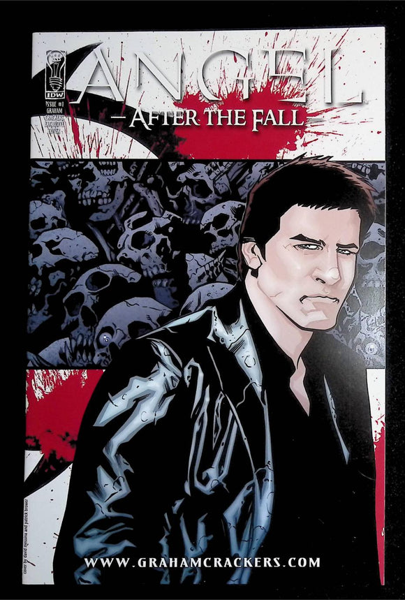 Angel After the Fall (2007 IDW) #1F