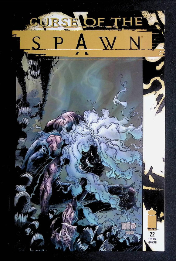 Curse of the Spawn (1996) #22