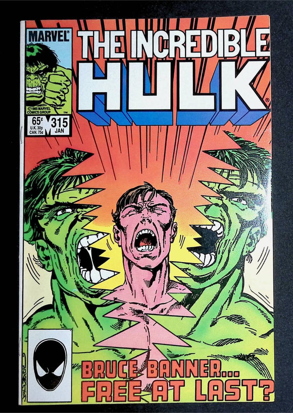 Incredible Hulk (1962 Marvel 1st Series) #315