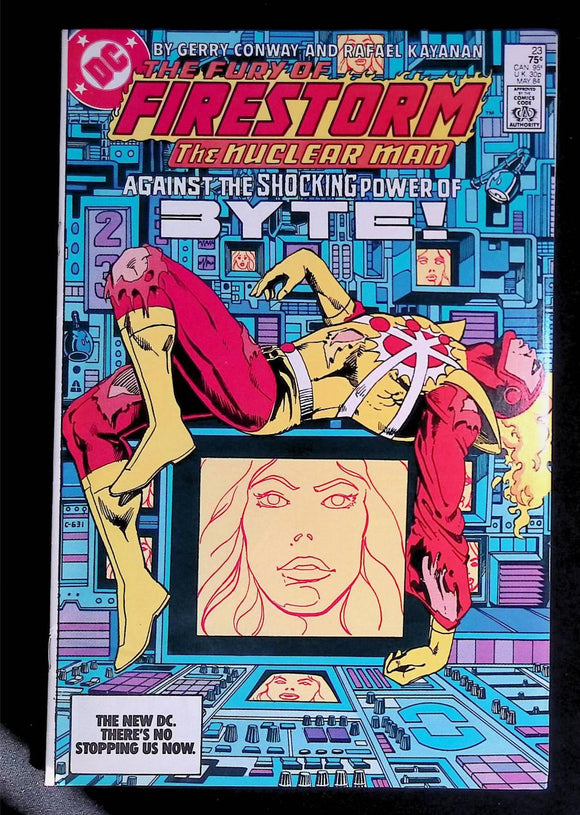 Firestorm (1982 2nd Series) #23 - Mycomicshop.be