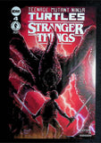 Teenage Mutant Ninja Turtles Stranger Things (2023 IDW) Complete Set - Mycomicshop.be