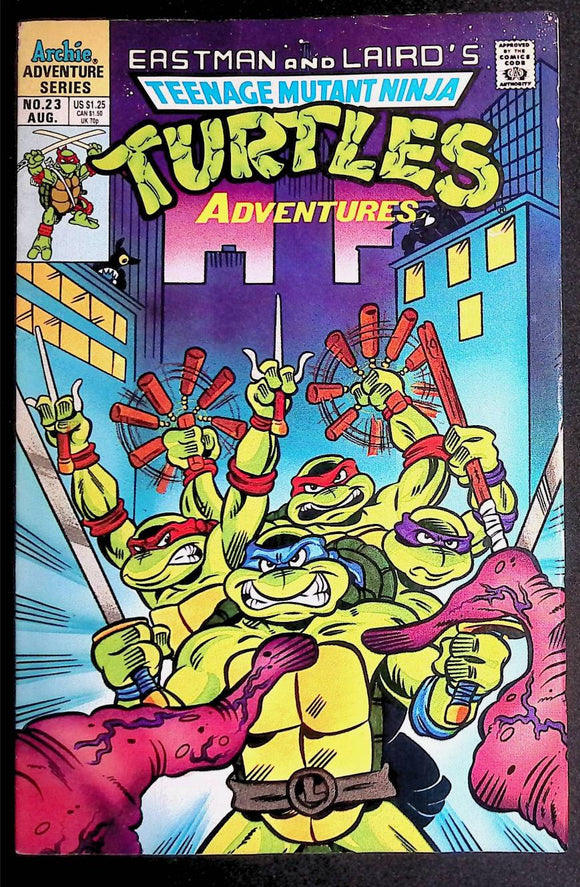 Teenage Mutant Ninja Turtles Adventures (1989) #23 - Mycomicshop.be