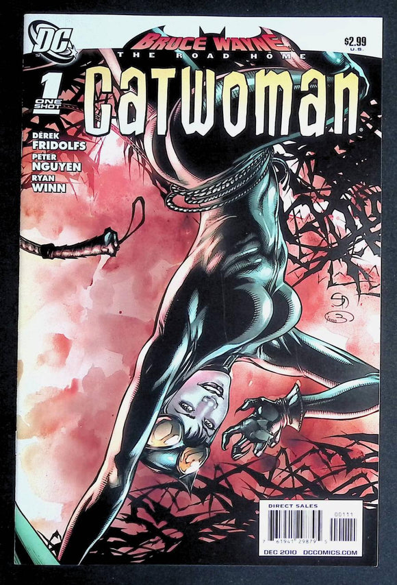Bruce Wayne The Road Home Catwoman (2010 DC) #1