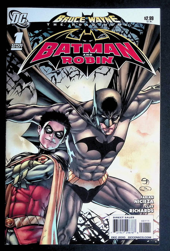 Bruce Wayne The Road Home Batman and Robin (2010 DC) #1