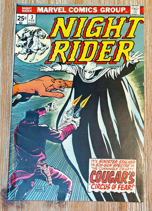 Night Rider (1974) #3