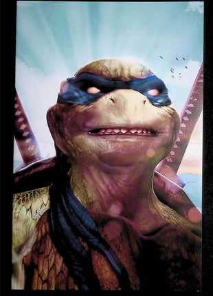 Teenage Mutant Ninja Turtles (2011 IDW) #111THE616.B - Mycomicshop.be