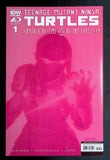 Teenage Mutant Ninja Turtles the Untold Destiny of the Foot Clan (2023 IDW) #1RIB - Mycomicshop.be