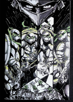 Teenage Mutant Ninja Turtles Black White and Green (2024 IDW) #1SL.A - Mycomicshop.be