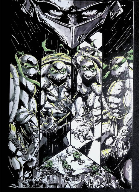 Teenage Mutant Ninja Turtles Black White and Green (2024 IDW) #1SL.A - Mycomicshop.be