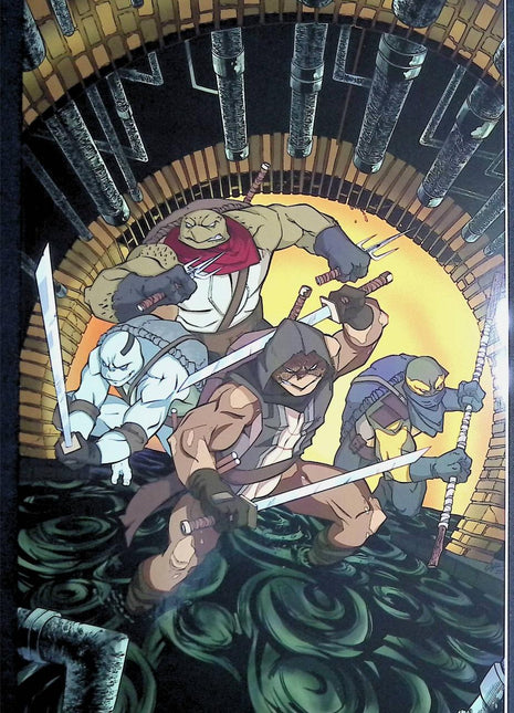 Teenage Mutant Ninja Turtles the Last Ronin II Re-Evolution (2023 IDW) #2RI - Mycomicshop.be