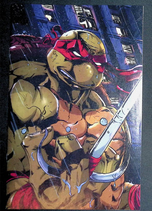 Teenage Mutant Ninja Turtles (2024 IDW) #1 Stashhh Loot Virgin Eskivo - Mycomicshop.be