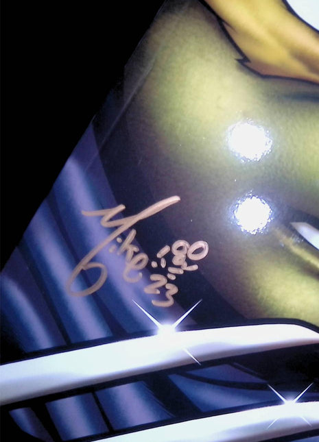 Teenage Mutant Ninja Turtles (2011 IDW) #100AOD Signed - Mycomicshop.be