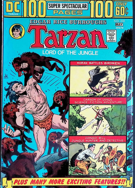 Tarzan #230 (DC, 1972 Series) - Mycomicshop.be