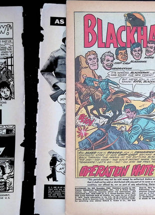 Blackhawk (1944 1st Series) #203