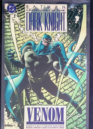 Batman Legends of the Dark Knight (1989) #20