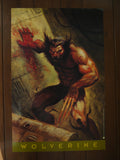 Poster Wolverine XIV #207 Glenn Barr 1995