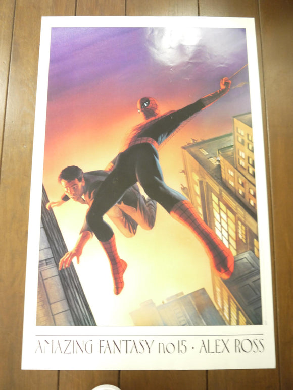 Poster Spider-Man XIV Amazing Fantasy #15 Alex Ross 1995 #199