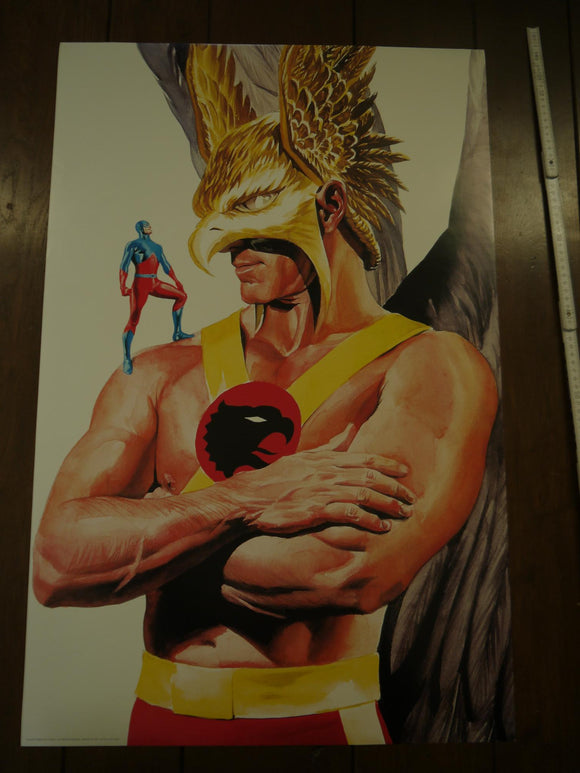 Poster Hawkman 2000 Alex Ross
