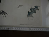 Poster Batman 2001 Y. Amano