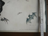 Poster Batman 2001 Y. Amano