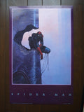 Spider-Man poster by Jean "Moebius" Giraud 24x36" - Mycomicshop.be