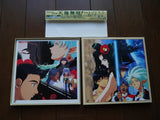 Tenchi Forever! The Movie (1999) [PILA-1518] Laser Disc - Mycomicshop.be