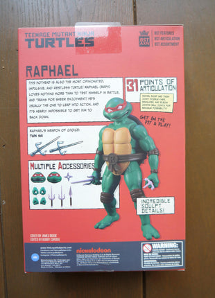 BST AXN Raphael (Comic Book +Action Figure) – IDW - Mycomicshop.be