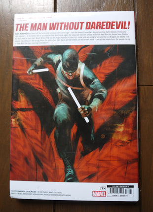 Daredevil To Heaven Through Hell HC (2021 Marvel) #2