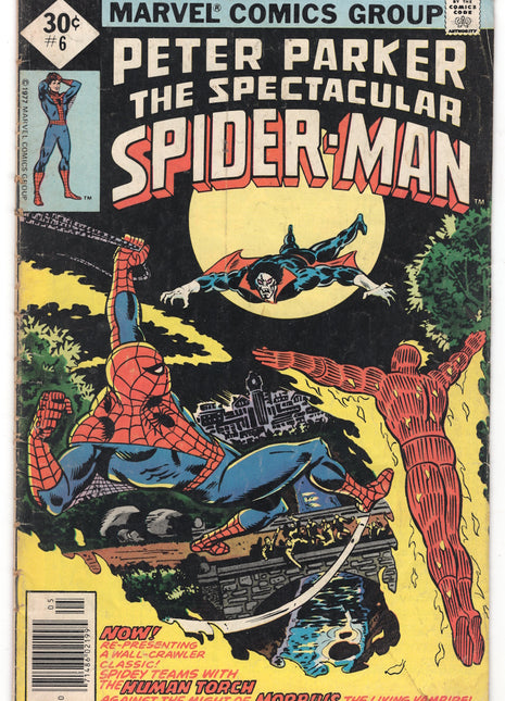 Spectacular Spider-Man (1976 1st Series) #6