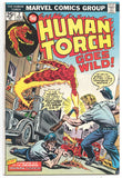 Human Torch (1974 1st Series) 1-8 Complete set - Mycomicshop.be