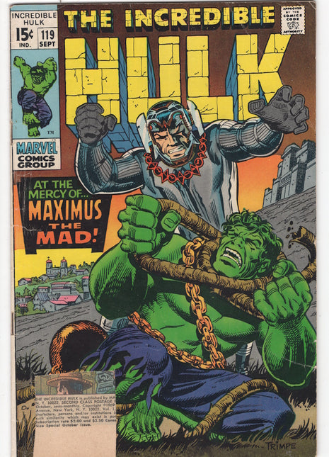 Incredible Hulk (1962 Marvel 1st Series) #119 - Mycomicshop.be
