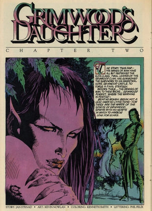 Grimwood's Daughter HC (2009 IDW) Jan Strnad & Kevin Nowlan - Mycomicshop.be