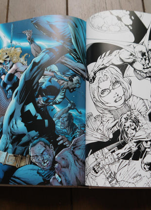 Icons The DC and Wildstorm Art of Jim Lee HC (2010 Titan Books) 1B - Mycomicshop.be