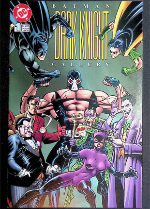 Batman Dark Knight Gallery (DC, 1996) - Mycomicshop.be