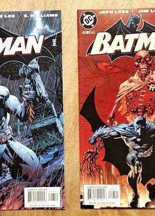 Batman - Hush : Full Run (12 issues) DC, 2002 - Mycomicshop.be