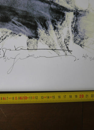 Bill Sienkiewicz Frankenstein Signed - Mycomicshop.be