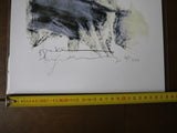 Bill Sienkiewicz Frankenstein Signed - Mycomicshop.be