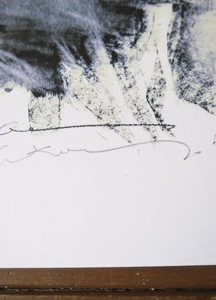 Bill Sienkiewicz Frankenstein Signed - Mycomicshop.be
