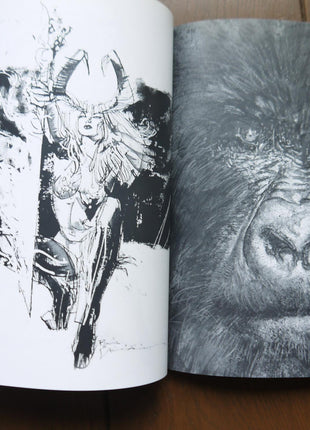 Bill Sienkiewicz Sketchbook (2007) 2014 - Mycomicshop.be